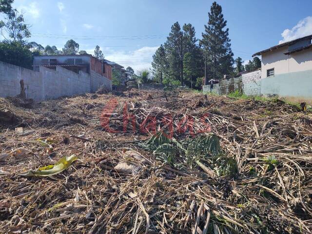 Terreno para Venda em Caraguatatuba - 5