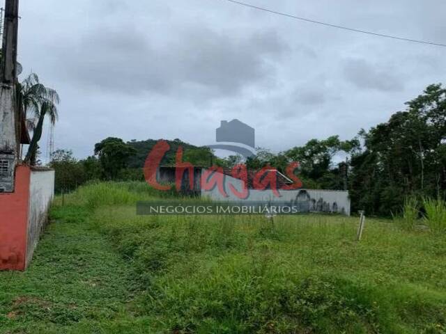 Terreno para Venda em Caraguatatuba - 3