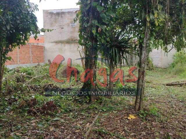 #1006 - Terreno para Venda em Caraguatatuba - SP - 1
