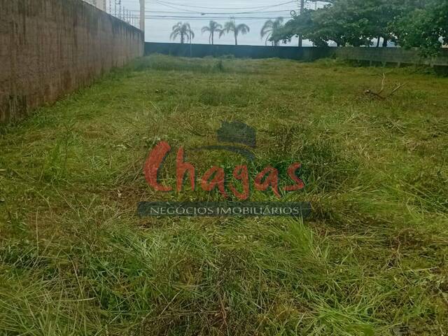 Terreno para Locação em Caraguatatuba - 4