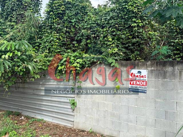 #4099 - Área para Venda em Caraguatatuba - SP - 2