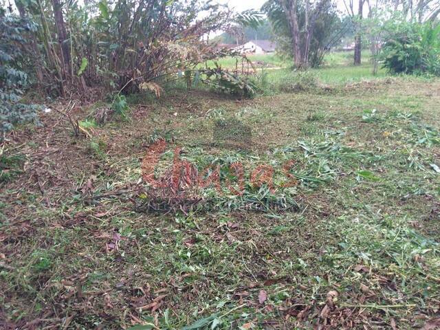 #2254 - Terreno para Venda em Caraguatatuba - SP - 3