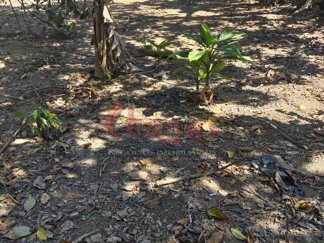 Terreno para Venda em Caraguatatuba - 4