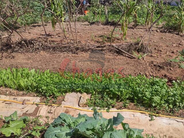 Terreno para Venda em Caraguatatuba - 5