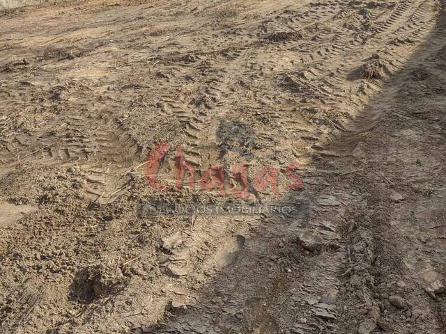 #2416 - Terreno para Venda em Caraguatatuba - SP - 3