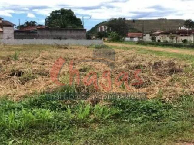 #2443 - Terreno para Venda em Caraguatatuba - SP - 3