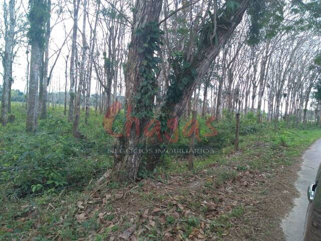 Área para Venda em Caraguatatuba - 5